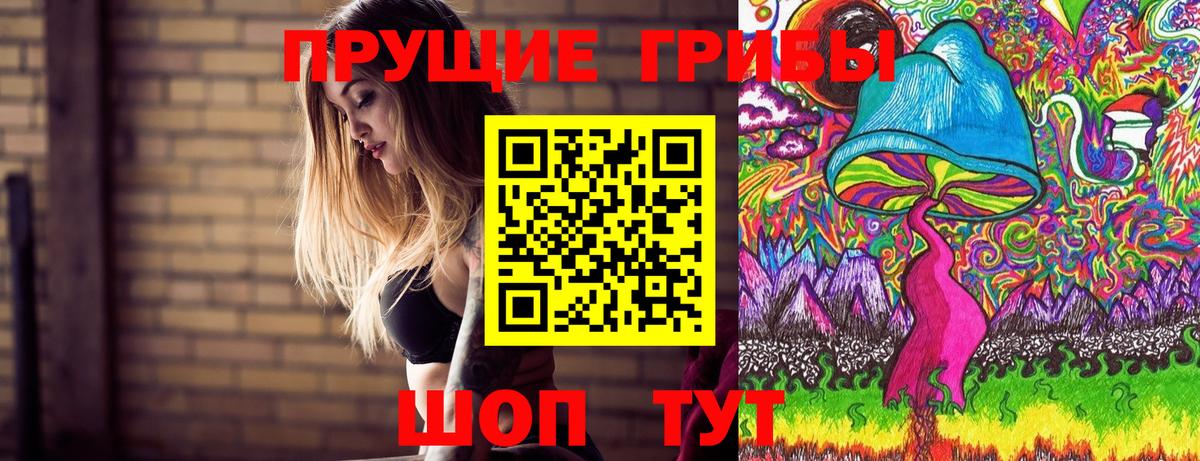 Псилоцибиновые грибы мицелий Владимир
