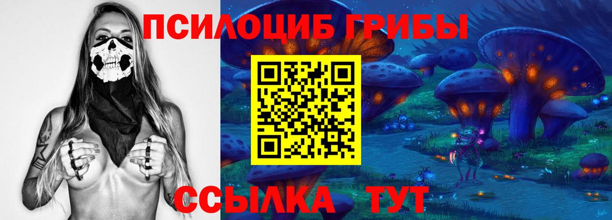 купить закладку  Вход с VPN  Владимир  Галлюциногенные грибы прущие грибы 